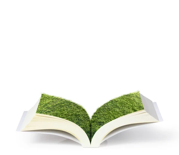 Yeşil ağaçlı açık kitap — Stok fotoğraf