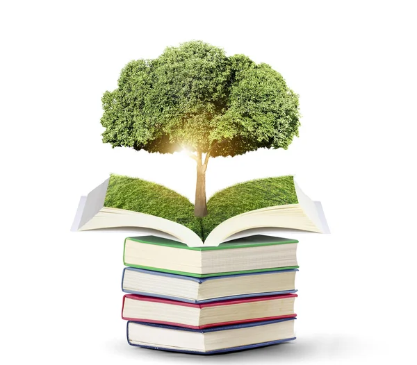 Открытая книга с зеленым деревом — стоковое фото