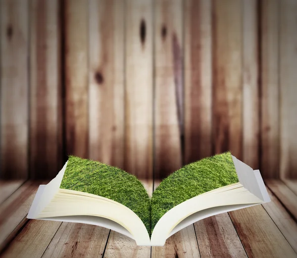 Libro aperto con albero verde — Foto Stock