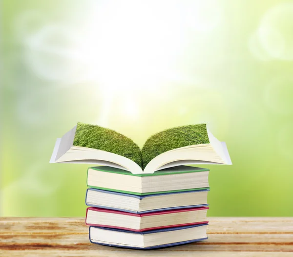 Open book with green tree — Stock Photo, Image