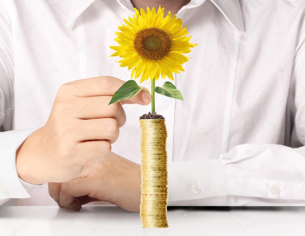 Hand holding tree growing on golden coins