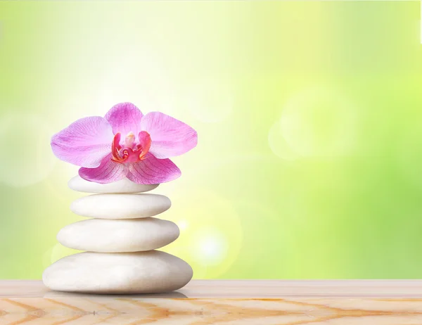 Spa stones and pink orchid — Stock Photo, Image