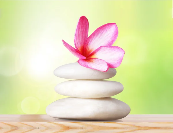 Spa stones and pink orchid — Stock Photo, Image