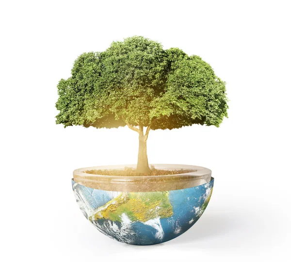 Planet earth and tree — Stock Photo, Image