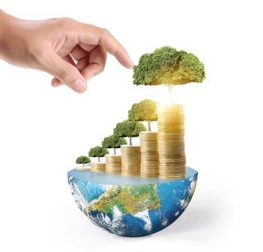 altın sikke ve bunları grafik ve bitki büyüyen 