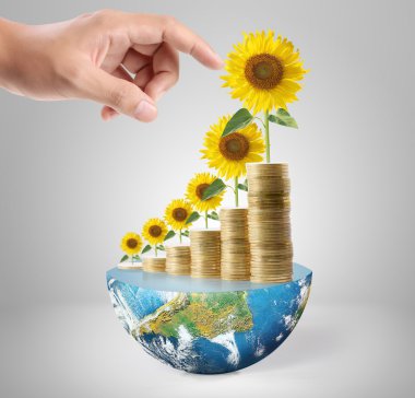 Borsa yatırımları