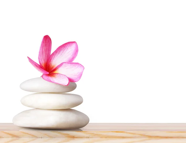 Spa stones and pink orchid — Stock Photo, Image