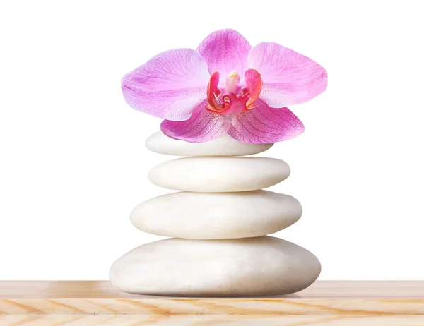 Spa stones and pink orchid — Stock Photo, Image