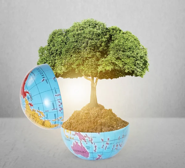 Planet Erde und Baum — Stockfoto