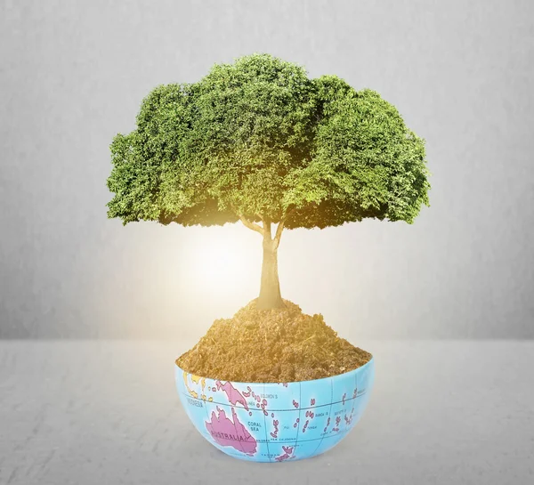 Planet earth and tree — Stock Photo, Image