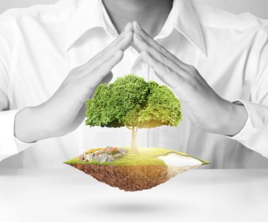 Ağaç çimlenme tutan adam