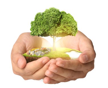 Ağaç çimlenme tutan adam
