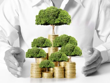 altın sikke üzerinde yeşil bitki 