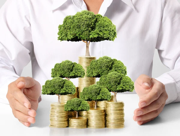 altın sikke üzerinde yeşil bitki 