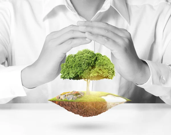 Man holding tree sprouting — Stock Photo, Image