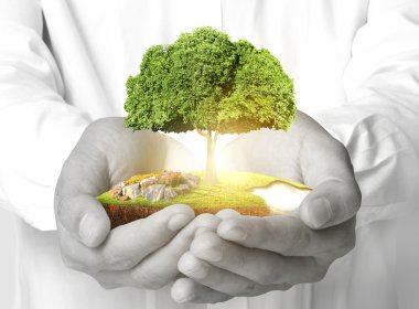 Ağaç çimlenme tutan adam