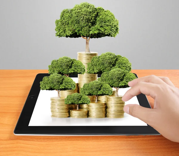 Concept van money tree groeien uit geld — Stockfoto