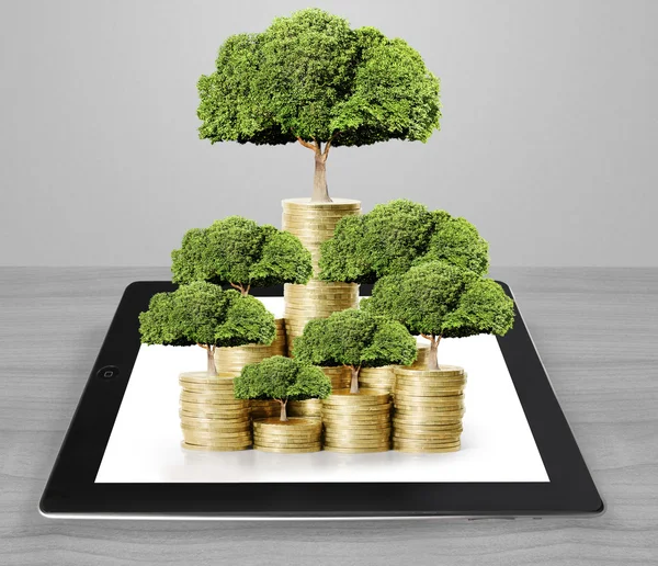 Konzept des Geldbaums, der aus Geld wächst — Stockfoto