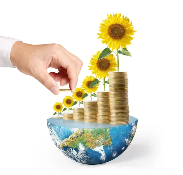 Flowers growing from a money,Some components of this image are p — Stock Photo, Image