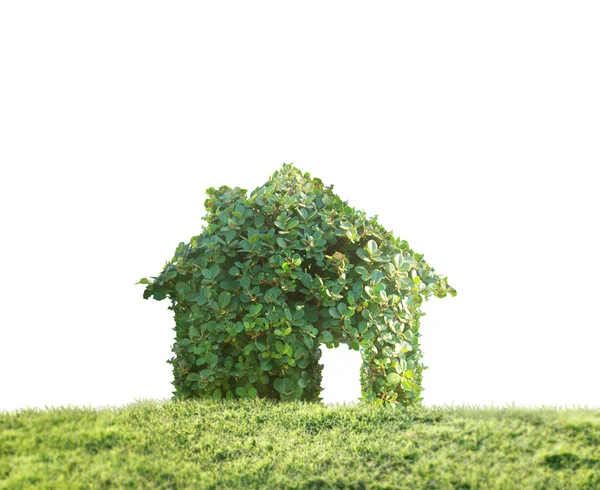Concept by house on nature — Stock Photo, Image