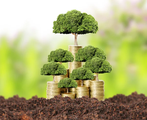 Money tree growing from money — Stock Image Money tree growing from money Stock Photo