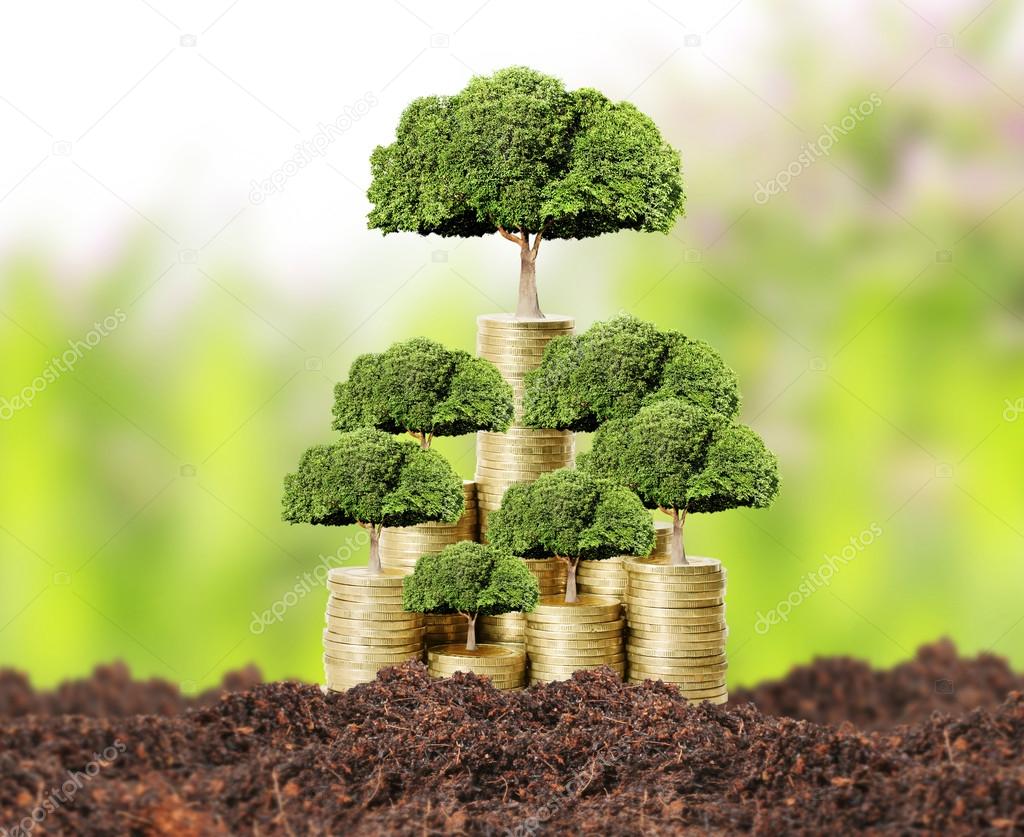 Money tree growing from money — Stock Photo © aeydenphumi 57566771