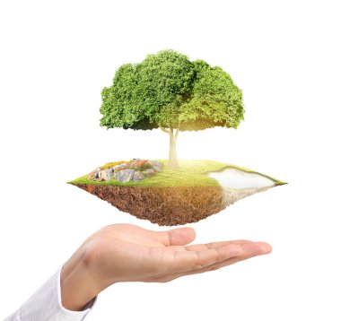 büyük ağaç çimlenme holding 