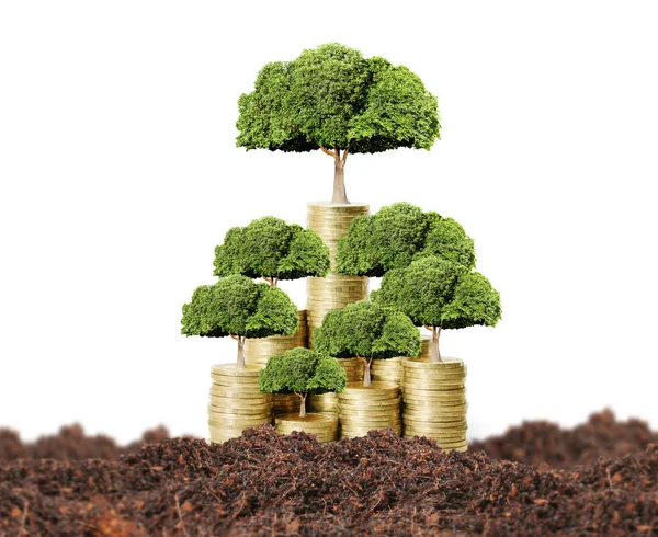 Árbol del dinero que crece del dinero — Foto de Stock