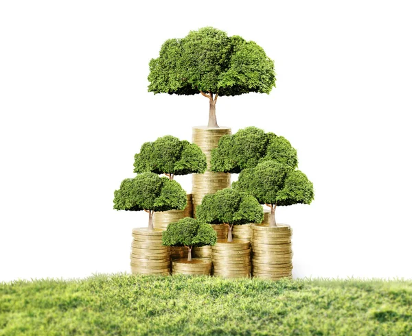 Money tree growing from money — Stock Photo, Image