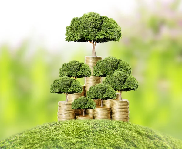 Money tree growing from money — Stock Photo, Image