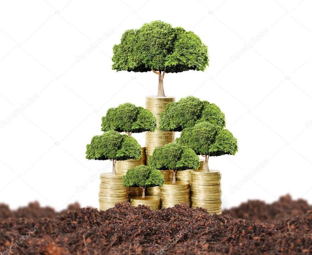  money tree growing from money 