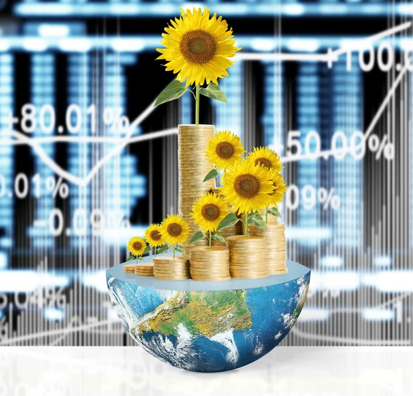 Bloemen groeien van een geld, zijn sommige onderdelen van dit beeld p — Stockfoto