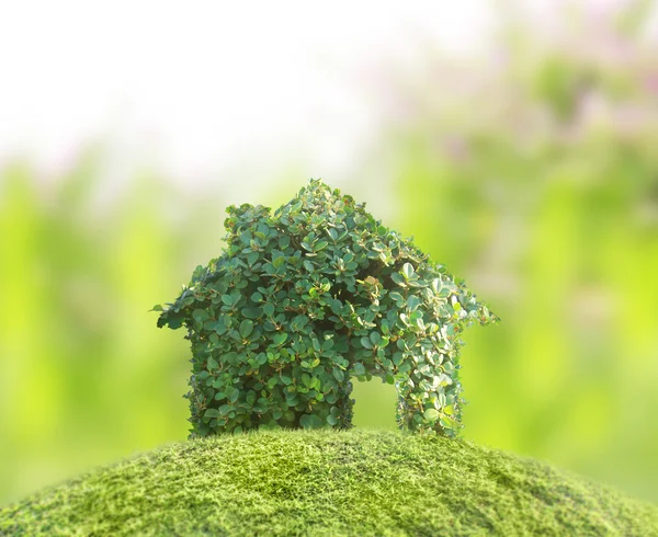 Concept by house on nature — Stock Photo, Image