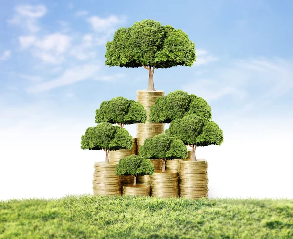 Money tree growing from money — Stock Photo, Image