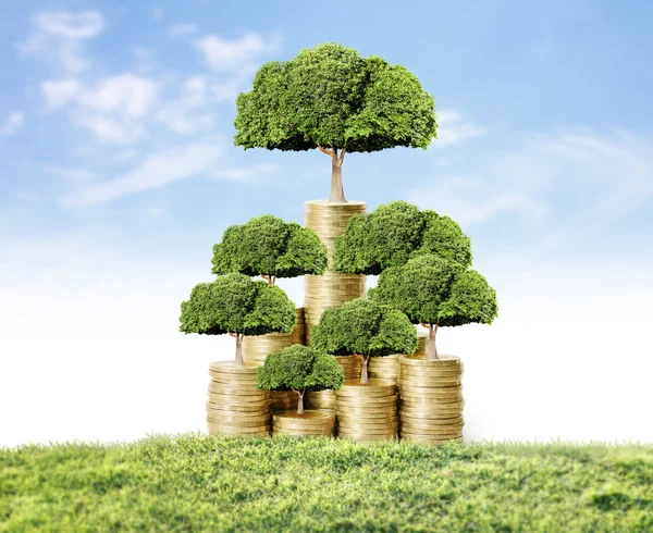 Money tree growing from money — Stock Image Money tree growing from money Royalty Free Stock Images