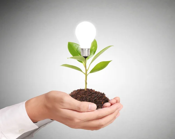 Ideas bulb light in the hand — Stock Photo, Image