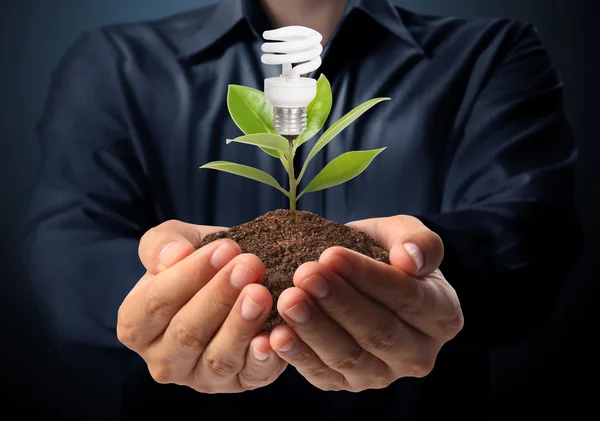 Ideen Glühbirne Licht in der Hand — Stockfoto