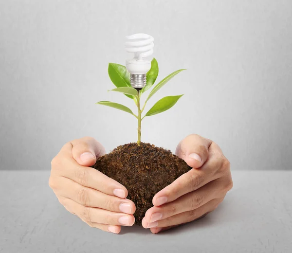 Ideas bulb light in the hand — Stock Photo, Image