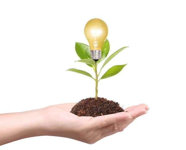 Ideas bulb light in the hand — Stock Photo, Image