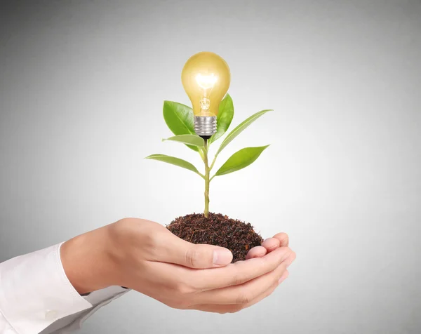 Ideas bulb light in the hand — Stock Photo, Image