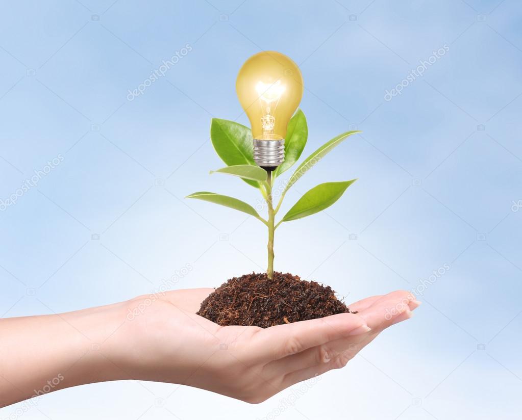 Ideas bulb light in the hand 