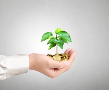 Bir avuç bozukluk çimlenme bitki tutan adam 