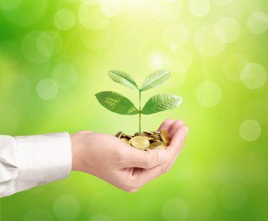 Bir avuç bozukluk çimlenme bitki tutan adam 