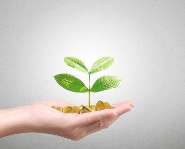 Bir avuç bozukluk çimlenme bitki tutan adam 