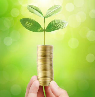 Bir avuç bozukluk çimlenme bitki tutan adam 