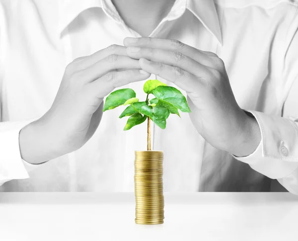 Hombre sosteniendo planta brotando de un puñado de monedas —  Fotos de Stock