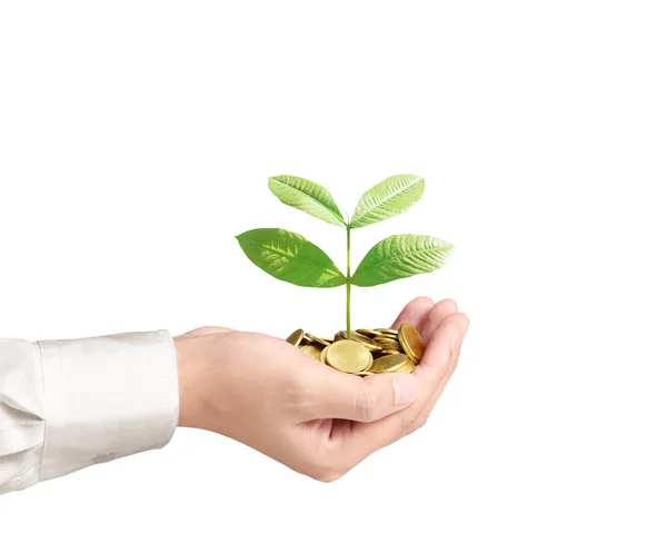 Man met planten kiemen van een handjevol munten — Stockfoto