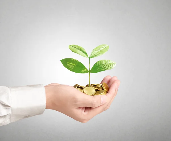 Man met planten kiemen van een handjevol munten — Stockfoto