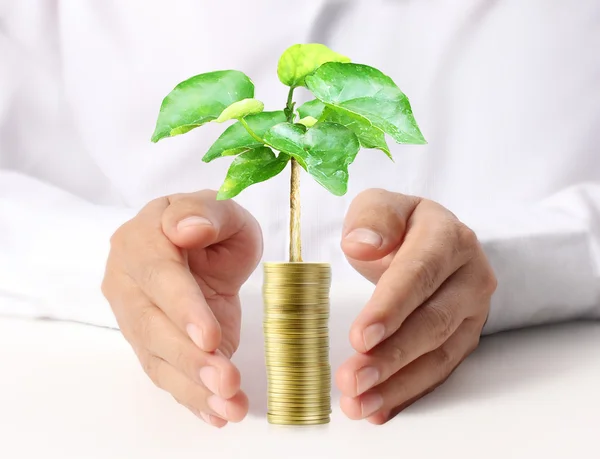 Hombre sosteniendo planta brotando de un puñado de monedas —  Fotos de Stock