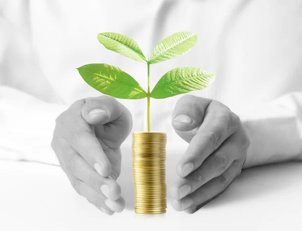 Man met planten kiemen van een handjevol munten — Stockfoto